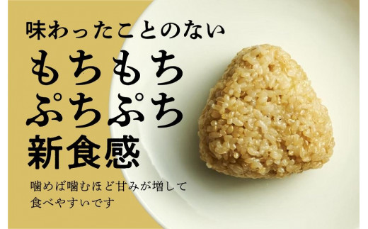 冷凍玄米おにぎり詰め合わせ（10個セット） - 愛知県名古屋市