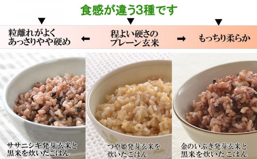 宮城県登米市のふるさと納税 発芽玄米ごはん3種セット（有機栽培米使用）150g×16パック