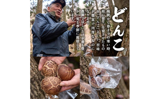 原木栽培の大玉生しいたけ（1kg）九州産 大分県産 国産 しいたけ 椎茸 生椎茸 生シイタケ 生しいたけ 生しいたけ 生シイタケ 原木しいたけ  佐伯市【FR03】【かやの椎茸屋】