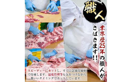 おおいた 和牛 3種 セット  (合計1.66kg・サーロインステーキ180g×2枚・ウデ肉700g・焼肉300g×2P)-百年の恵み-【BD186】【西日本畜産 (株)】