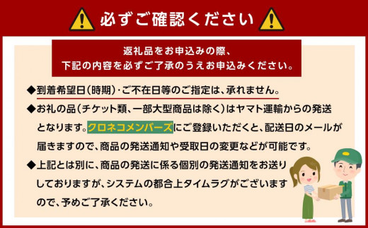 紀州かつらぎ山のあんぽ柿 化粧箱入 約５００ｇ - 和歌山県九度山町