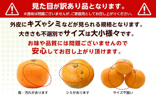 和歌山県産糖度１２.５度以上　訳ありみかん３ｋｇ箱(3Ｓ～Mサイズ混合)　　　|株式会社松源