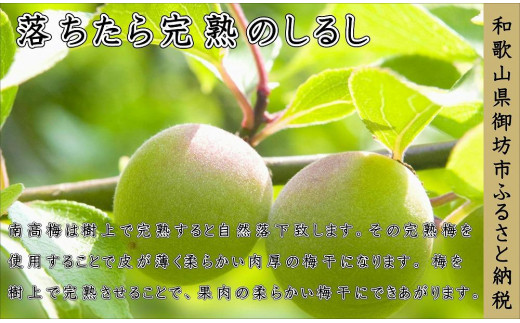 農林水産大臣賞受賞】 紀州南高梅 はちみつ梅1.5kg （塩分約8％）｜梅