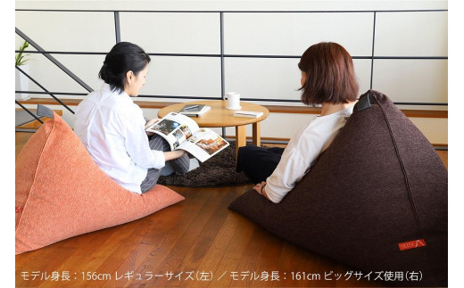 【大東寝具】tetra　シェニール（ビッグサイズ）【ビーズクッション座椅子】