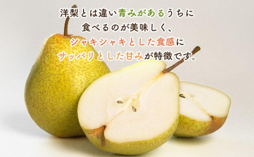 アイテムID:374184の画像3枚目