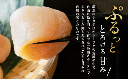 先行予約】網走前浜産 無添加ホタテ貝柱【 900g (300g×3) 】(2023年12