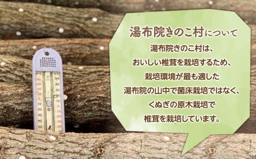 湯布院【有機原木椎茸】とシイタケベーゼ100g×2本セット - 大分県由布