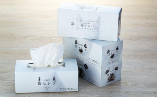 A011】紙のまち苫小牧 鼻セレブ ティッシュペーパー（30箱） - 北海道