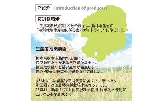 新品種米！（25kg）広島発「恋の予感」H29年産　精米して農家直送