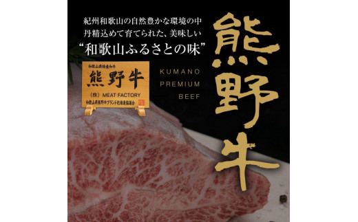 ふるさと納税 和歌山市 熊野牛 MEGAバーグ 1，350g×1個-