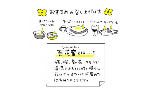 はちみつ セット 宮城県 登米市産 150g ( 50g × 3瓶 ) 三滝堂ハニー - 宮城県登米市｜ふるさとチョイス - ふるさと納税サイト