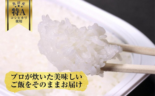 DE75 新潟県 魚沼産 備蓄 コシヒカリ ご飯 200g×20 パック ごはん