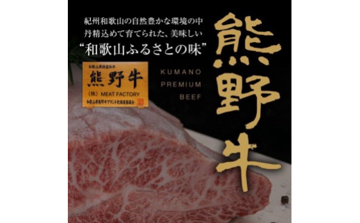 和歌山の老舗専門店の味 熊野牛・国産うなぎのうな牛丼セットB