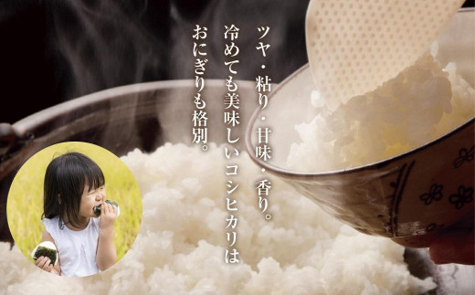 減農薬の美味しい棚田米　ヒトメボレ20kg 送料、精米サービス。無洗米対応可能