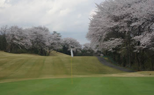 ４人1組】桜の名所栃木カントリークラブプレー券（セルフプレー・昼食