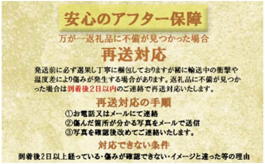 令和5年発送分】岡山県産シャインマスカット晴王【秀品】大房1房