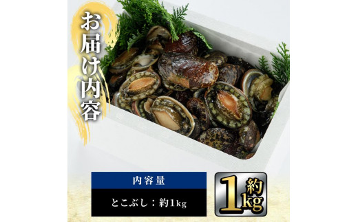 天然 トコブシ (約1kg) 【AS82】【海べ (株)】