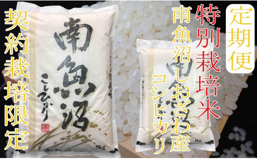 定期便：4Kg×12ヶ月※特別栽培 生産者限定 南魚沼しおざわ産コシヒカリ