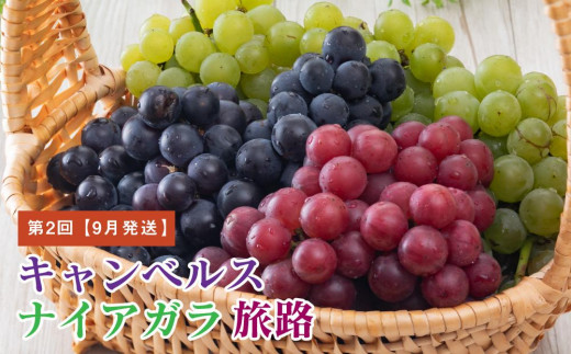 アイテムID:374186の画像5枚目