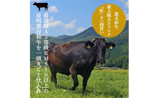 おやま和牛 A5 極 熟成肉 モモ肉ステーキ用 約200g×2枚 ステーキ