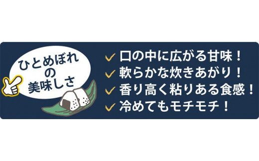 令和5年産】宮城県登米市産ひとめぼれ精米 ５kg×２個セット - 宮城県