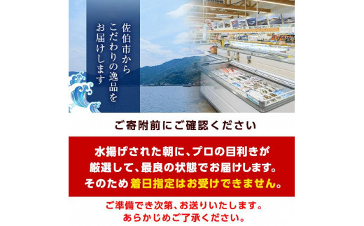 天然 トコブシ (約1kg) 【AS82】【海べ (株)】 - 大分県佐伯市