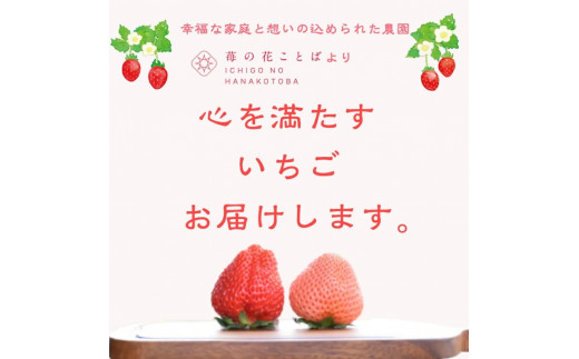 新潟県上越市のふるさと納税 雪国完熟越後姫桃薫 約200g×2P食べ比べセット