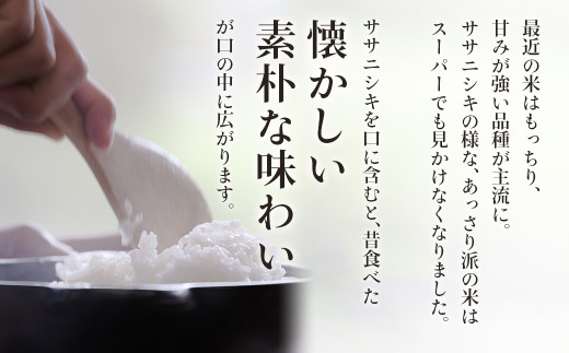 ササニシキ玄米10kg(5kg×2袋) 特別栽培米 宮城県白石市産【06029】