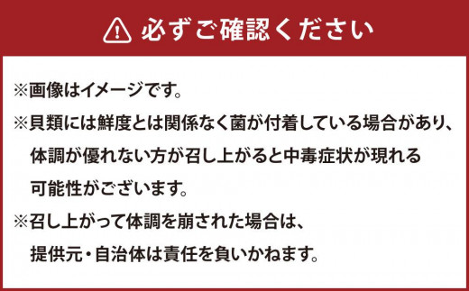 358】北海道 小樽発 北海道産 帆立貝柱(刺身用) K(0080421) 約1.7kg