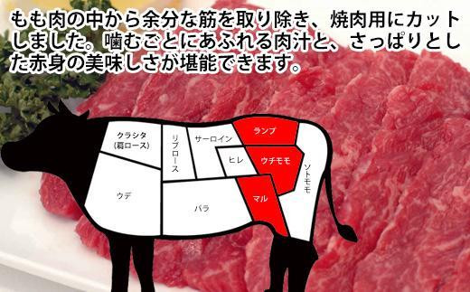 プレミアム焼肉セット2kg 和牛 牛肉 豚肉 肉詰め合わせ - 高知県高知市