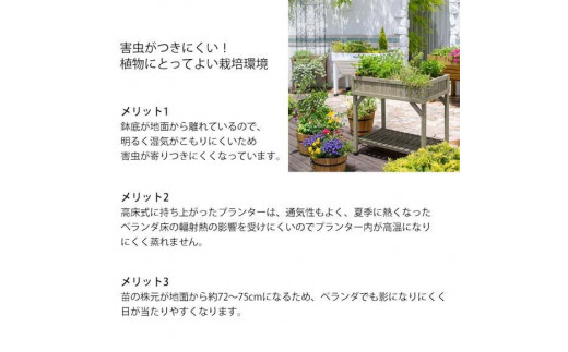 和歌山県海南市のふるさと納税 57937200 レイズドベッド ハーブプランター ナチュラル