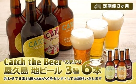 【定期便3ヶ月】屋久島・地ビール Catch the Beerおまかせビール3種6本セット 807460 - 鹿児島県屋久島町