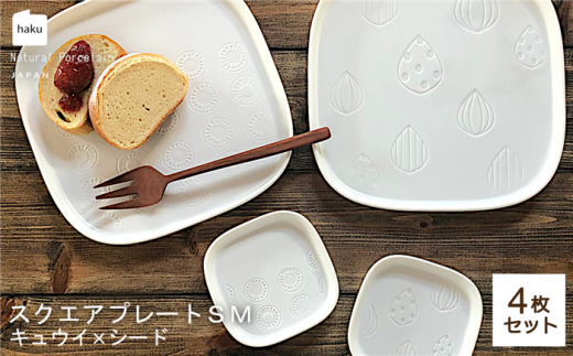 【美濃焼】スクエアプレート S/M 4枚セット キュウイ×シード【カネ一古林商店】食器 皿 プレート [MEG019] 731733 - 岐阜県土岐市