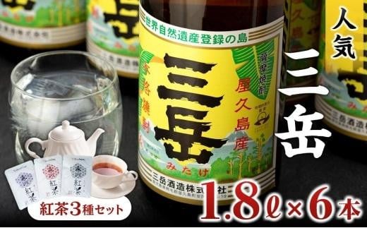 焼酎一升瓶　三岳6本+紅茶セット 806363 - 鹿児島県屋久島町