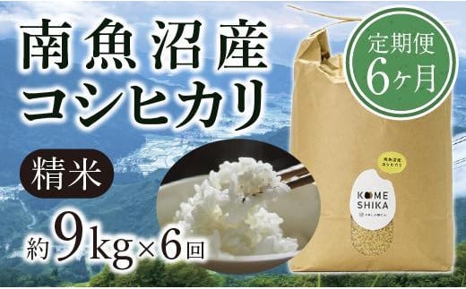 【令和5年産米】【定期便6ヵ月】雪室貯蔵 南魚沼産コシヒカリ  精米約9kg×6回 精米したてをお届け 714687 - 新潟県新潟県庁