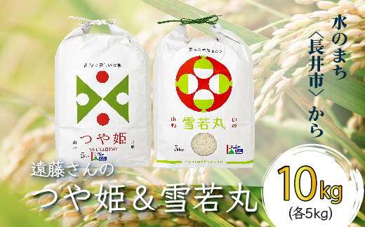 雪若丸　10kg  山形　特別栽培米　令和4年産