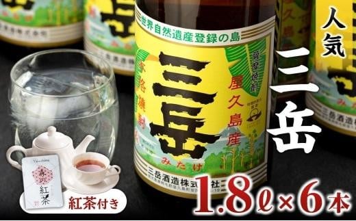 焼酎一升瓶　三岳6本+紅茶セットプラケース 806678 - 鹿児島県屋久島町