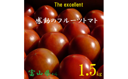 フルーツトマト(深層水トマト)1.5キロ【