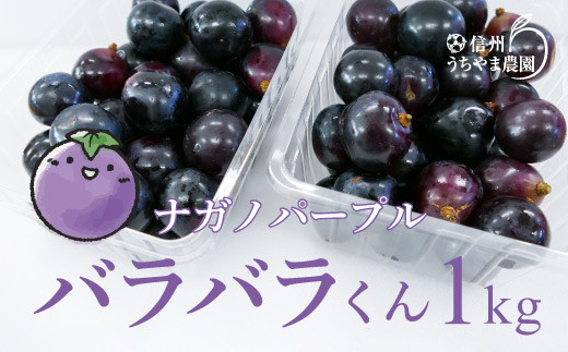 長野県須坂市のふるさと納税 [No.5657-3552]【先行受付】数量限定 訳あり ナガノパープル（バラバラ君）約1kg《信州うちやま農園》■2024年発送■※8月下旬頃～10月下旬頃まで順次発送予定