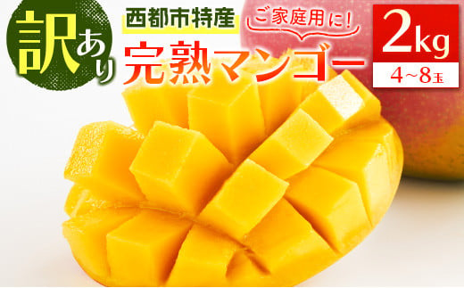 宮崎県産 完熟マンゴー 自宅用 2kg熱帯果実 - フルーツ