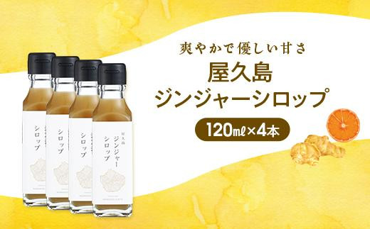 大阪お買い得 ふるさと納税 屋久島町 屋久島ジンジャーシロップ 500ml