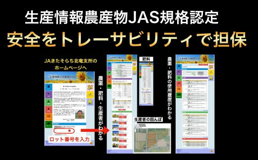 アイテムID:315139の画像6枚目