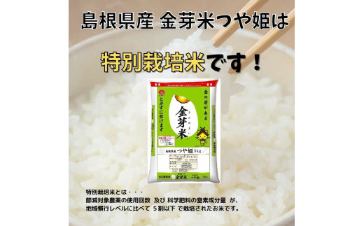 BG無洗米・金芽米つや姫 2kg×12ヵ月 定期便【毎月】計量カップ付き【令和5年産新米 定期便 12ヶ月 時短 健康】|島根県農業協同組合　 やすぎ地区本部　精米センター