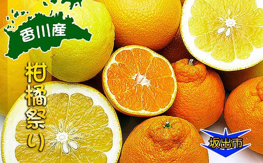今が旬の柑橘勢揃い！坂出産の柑橘詰め合わせセット 787864 - 香川県坂出市