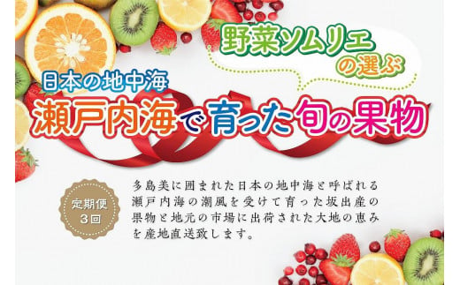 【定期便3回】野菜ソムリエの選ぶ日本の地中海、瀬戸内海の旬の果物 787895 - 香川県坂出市