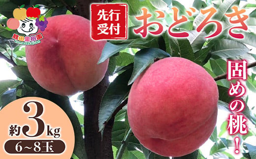＜先行予約＞固めの桃 おどろき 約3kg（6～8玉） F21R-880 642511 - 福島県白河市