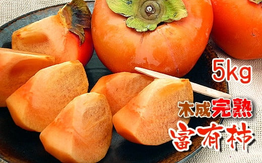 一度は食べたい香川産の完熟富有柿の詰め合わせ約5kg 787851 - 香川県坂出市