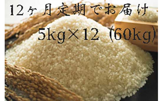 定期便　福岡県大川市産ヒノヒカリ（2023年秋収穫のお米）5キロ×12回 定期コース（全12回のお届け）