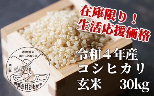 生活応援 玄米 30kg 令和4年産 コシヒカリ 岡山 「おおがや米」生産組合 G-ad-ABAA