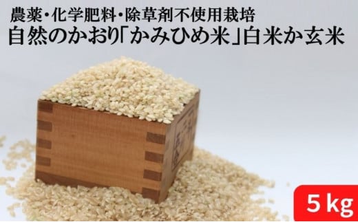 自然のかおり「かみひめ米」 玄米5kg